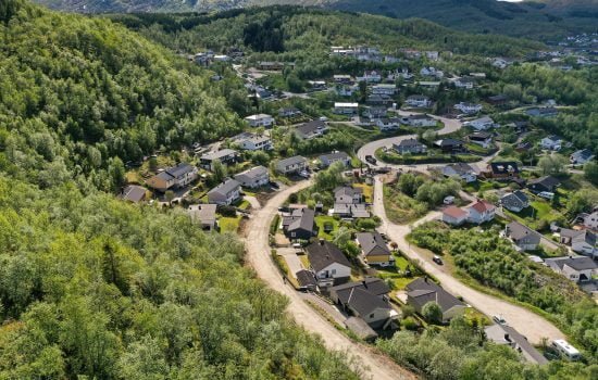 Steinveien 2022. Foto: Øivind Arvola