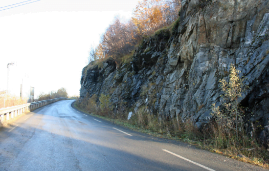 Bildet biser en vei med kurve.